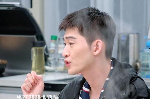 娱乐圈吃瓜张翰